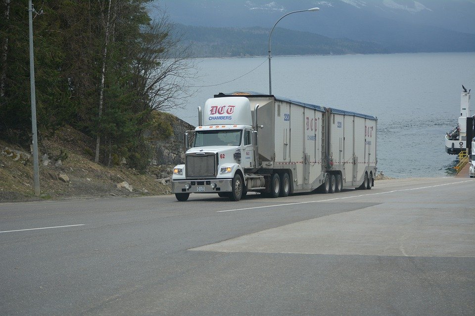 Truck, Lorry, White Truck, Cargo Truck, Big Rig